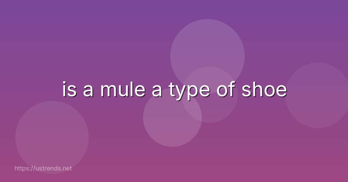 is a mule a type of shoe