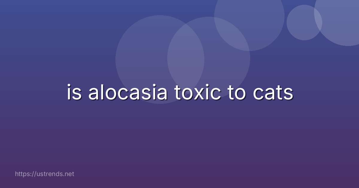 is alocasia toxic to cats
