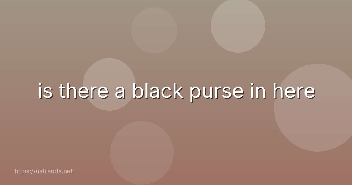 is there a black purse in here