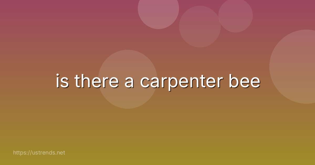 is there a carpenter bee