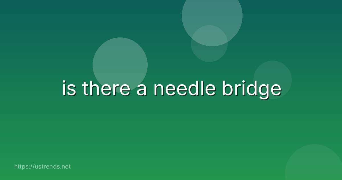 is there a needle bridge