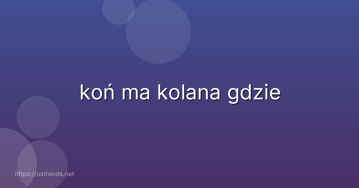 koń ma kolana gdzie