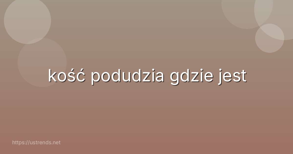 kość podudzia gdzie jest