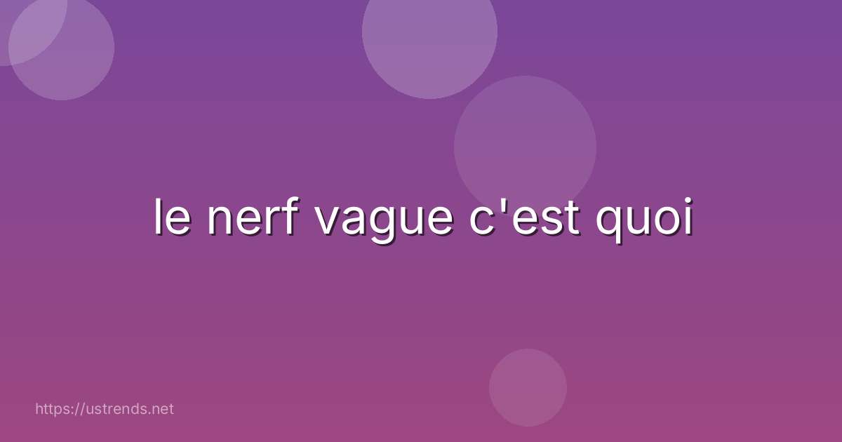 le nerf vague c'est quoi