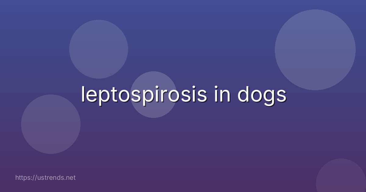 leptospirosis in dogs