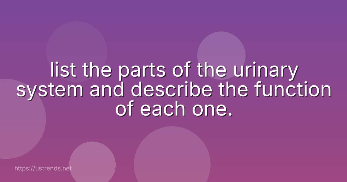 list the parts of the urinary system and describe the function of each one.