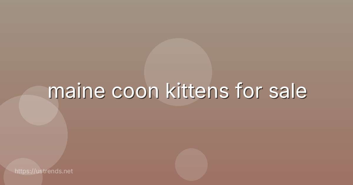 maine coon kittens for sale