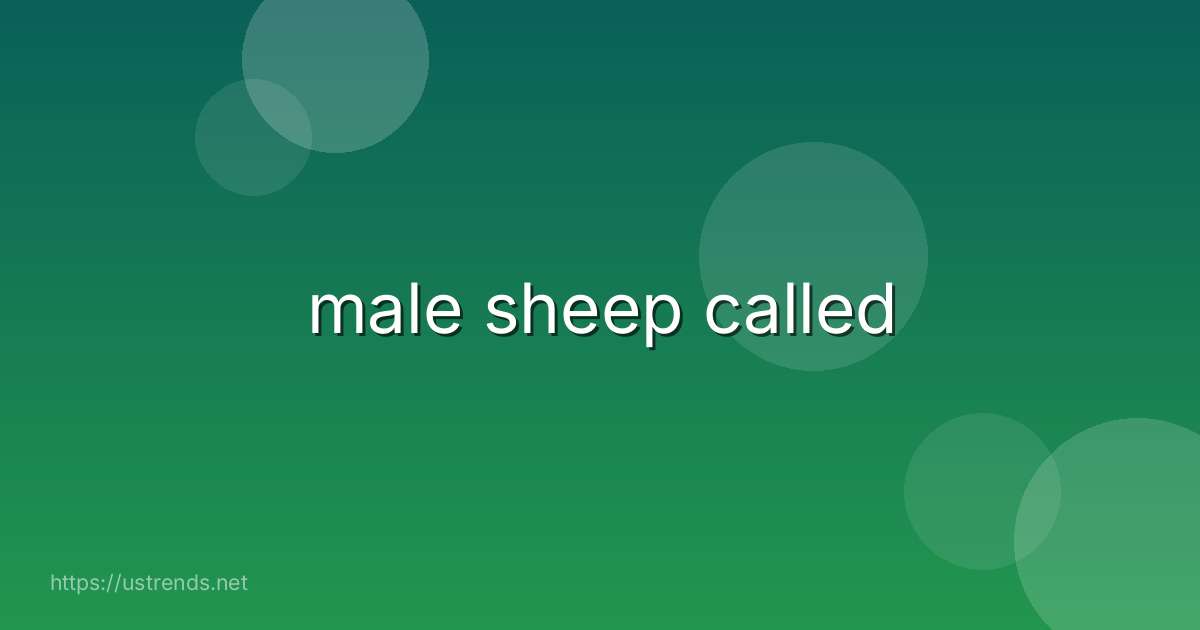 male sheep called
