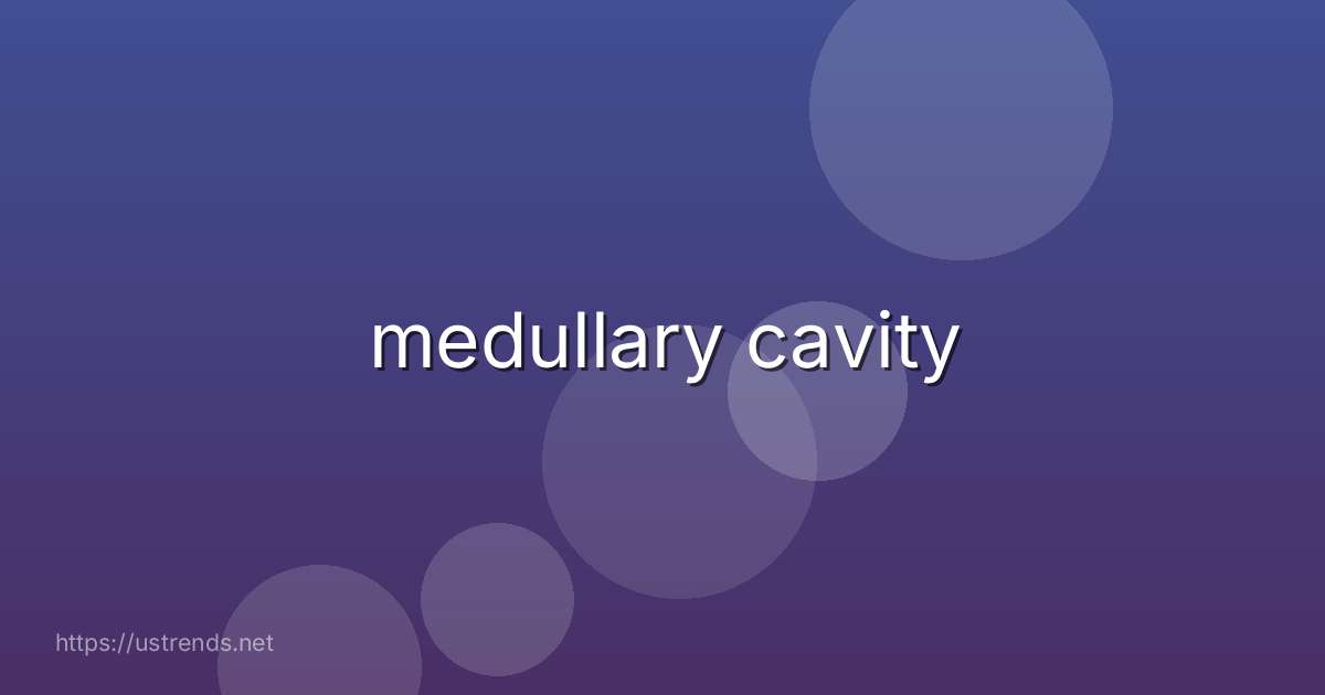 medullary cavity