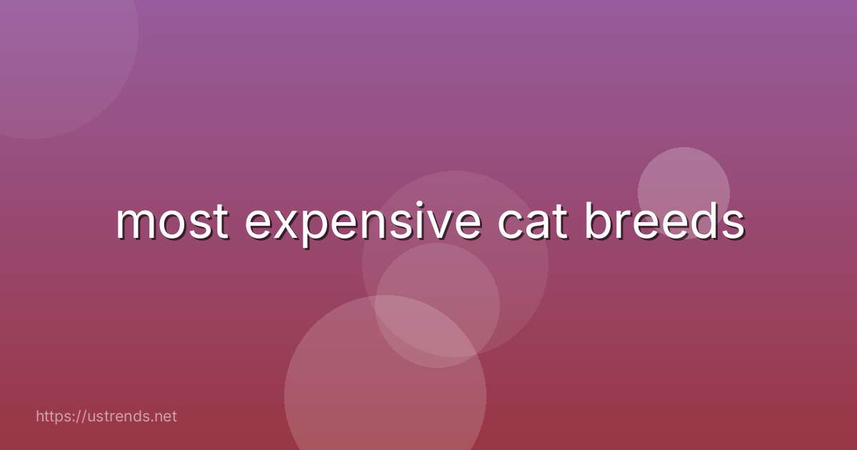 most expensive cat breeds