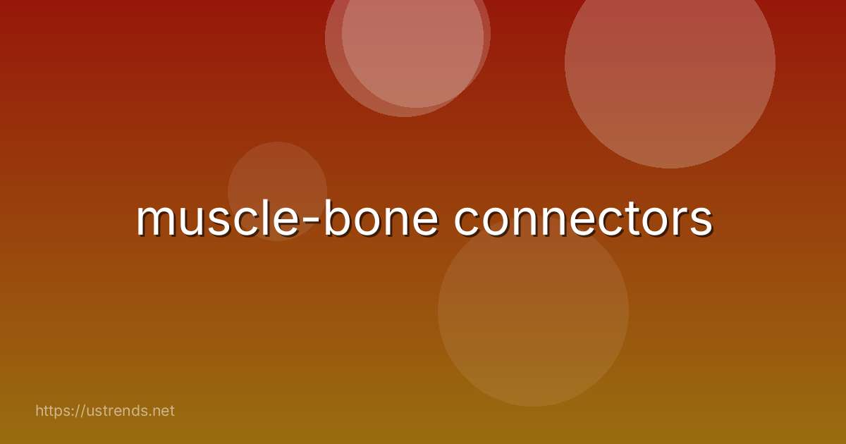 muscle-bone connectors