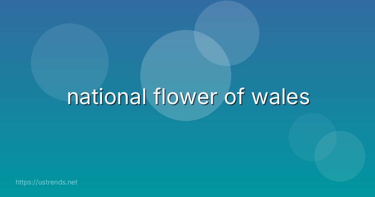 national flower of wales