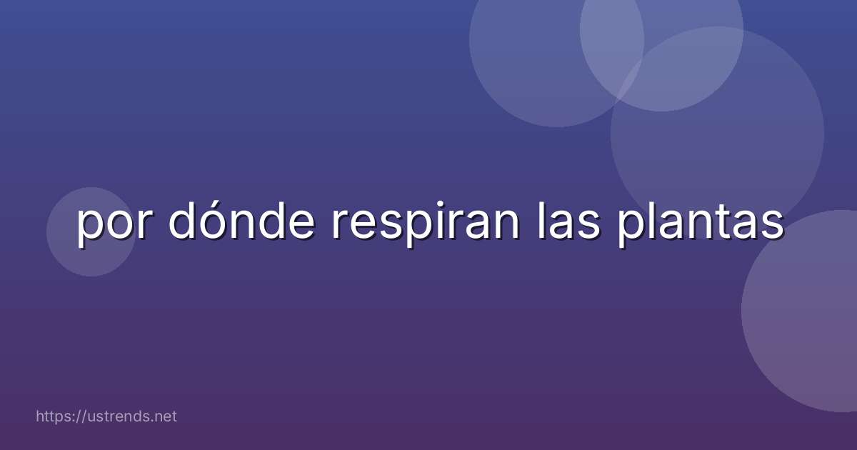 por dónde respiran las plantas