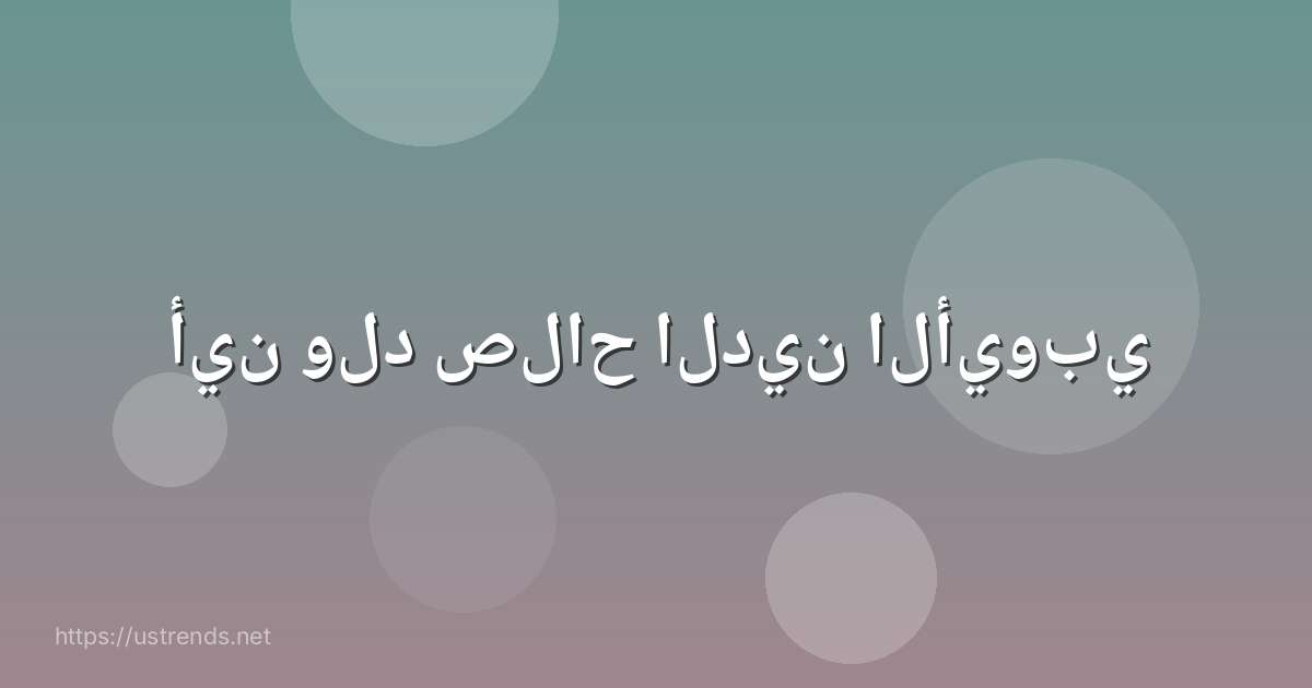 أين ولد صلاح الدين الأيوبي