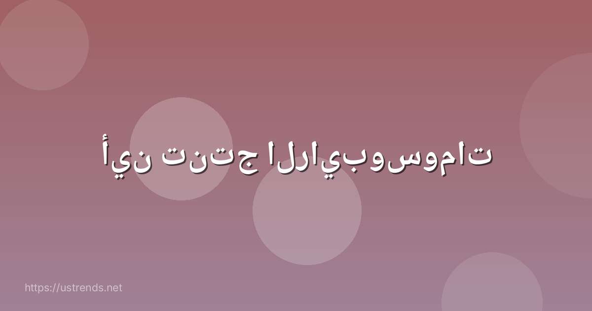 أين تنتج الرايبوسومات