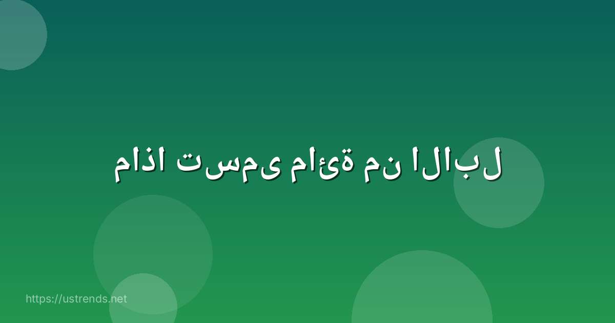 ماذا تسمى مائة من الابل