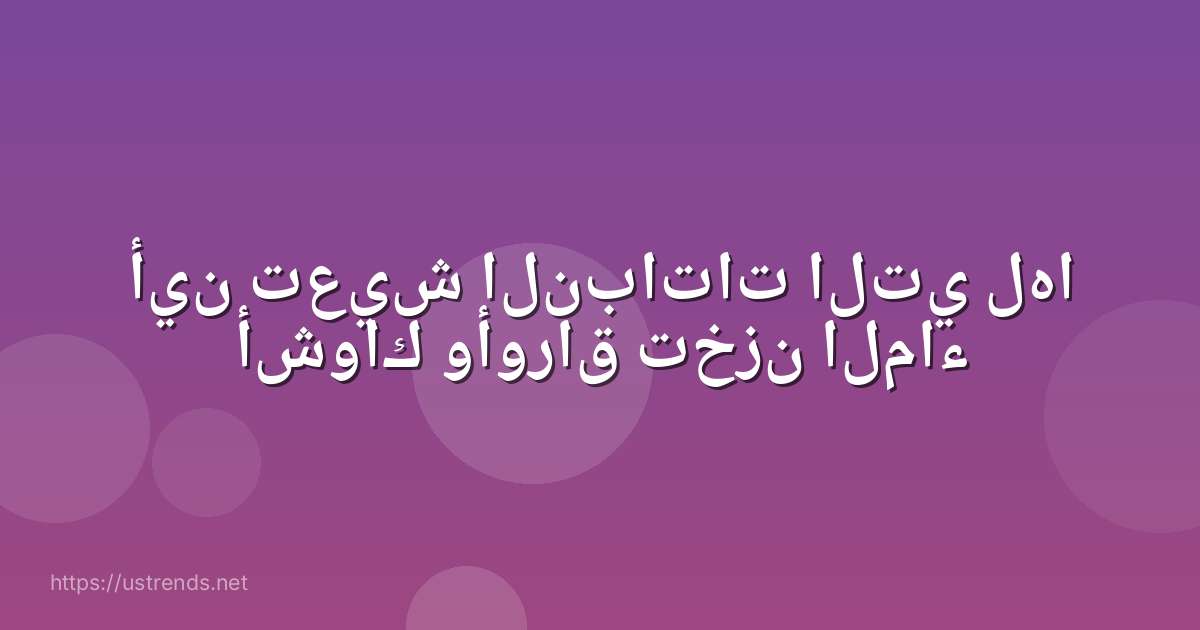 أين تعيش النباتات التي لها أشواك وأوراق تخزن الماء