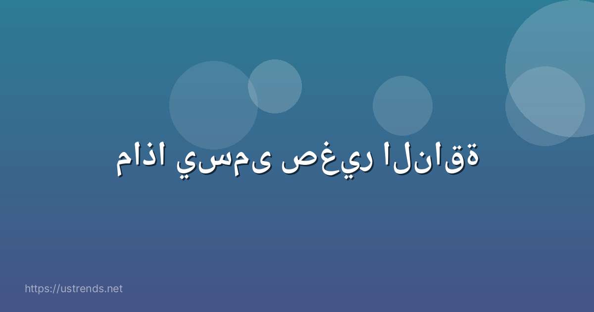ماذا يسمى صغير الناقة