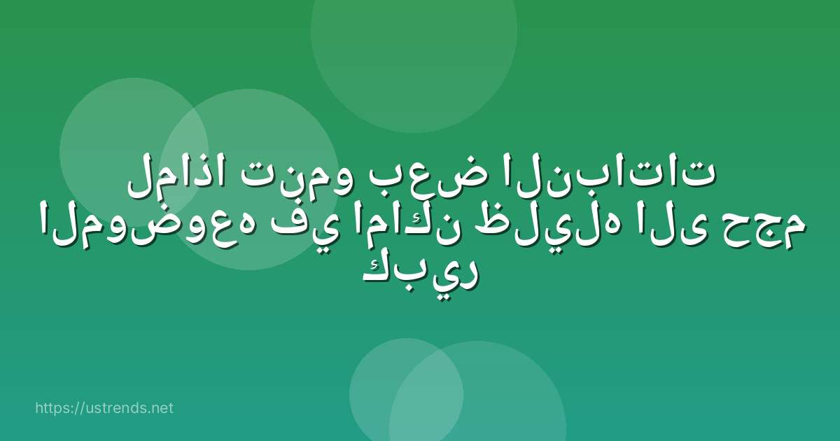 لماذا تنمو بعض النباتات الموضوعه في اماكن ظليله الى حجم كبير