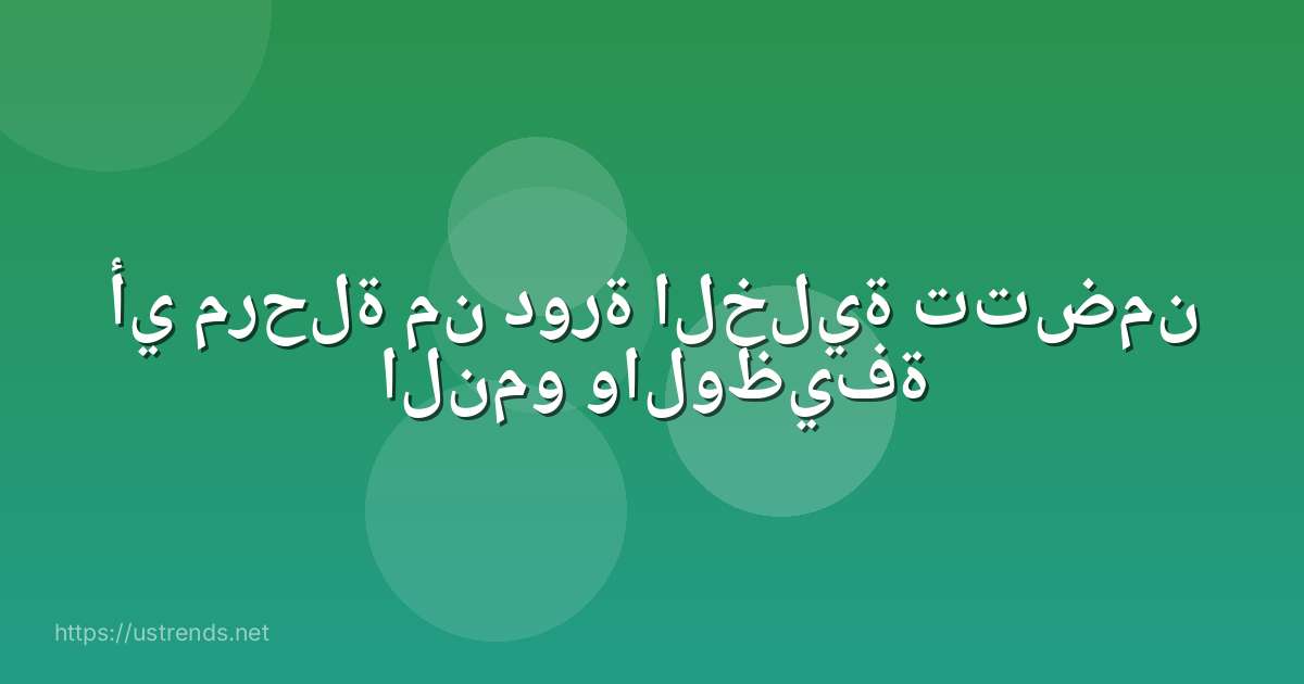 أي مرحلة من دورة الخلية تتضمن النمو والوظيفة