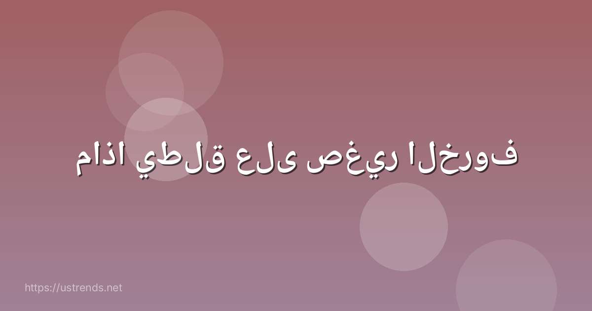 ماذا يطلق على صغير الخروف