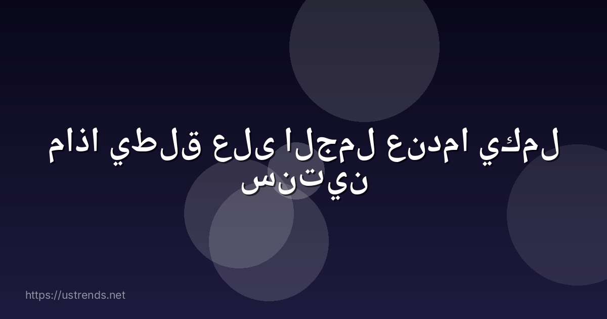 ماذا يطلق على الجمل عندما يكمل سنتين
