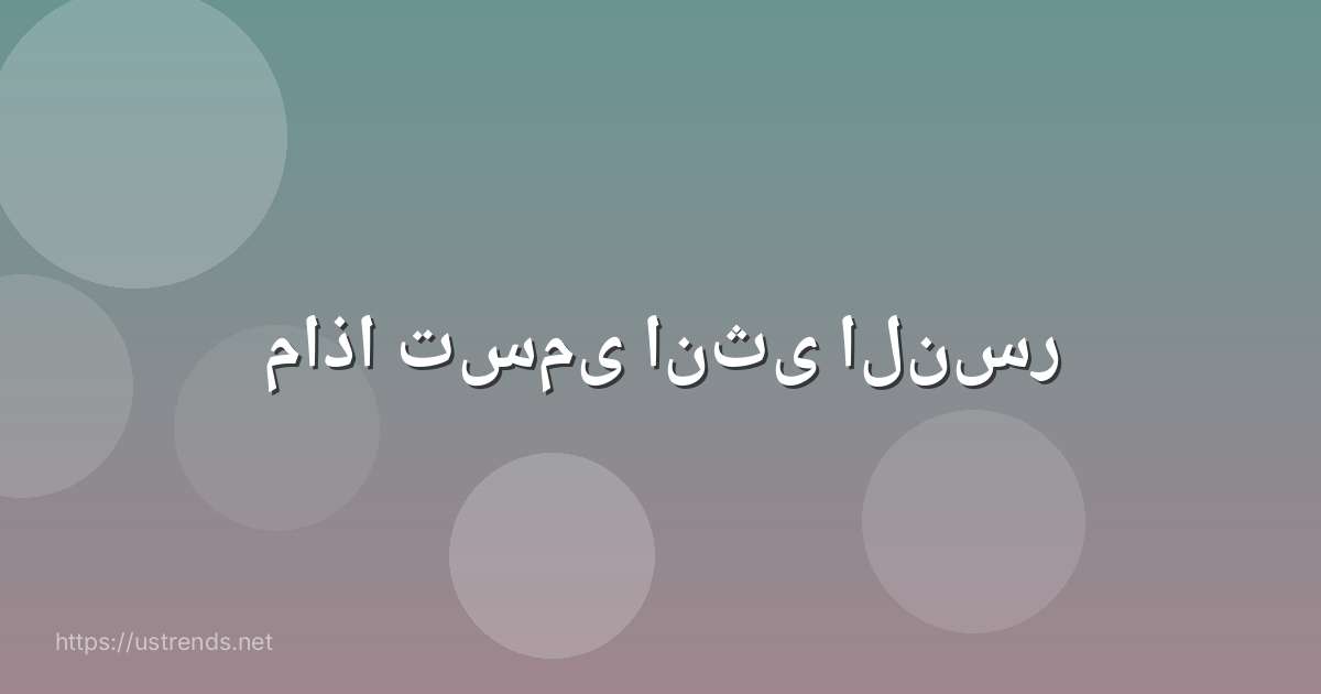 ماذا تسمى انثى النسر