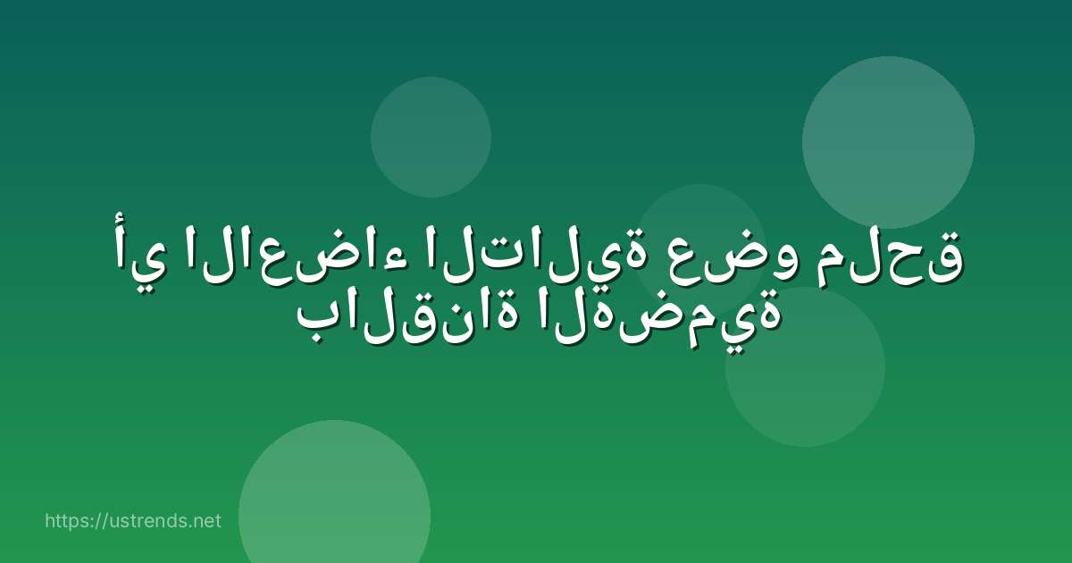 أي الاعضاء التالية عضو ملحق بالقناة الهضمية