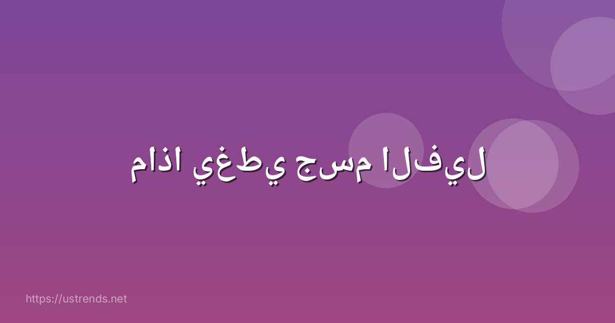 ماذا يغطي جسم الفيل