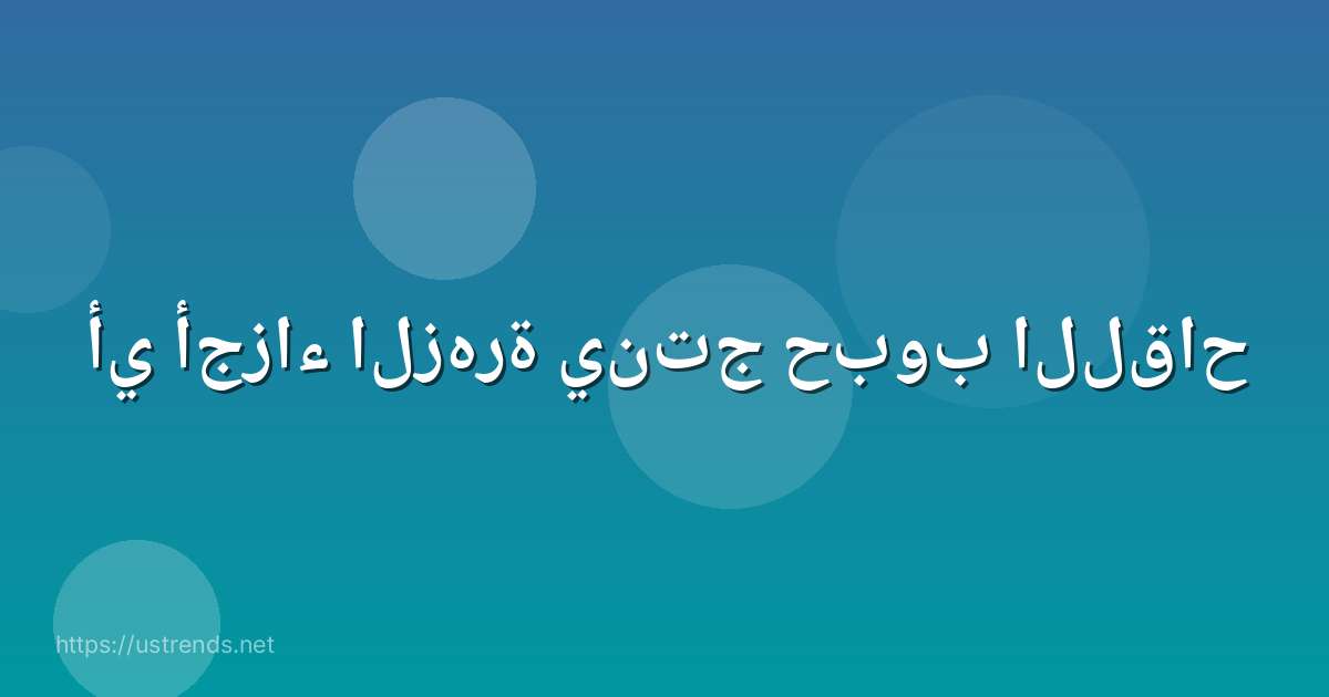 أي أجزاء الزهرة ينتج حبوب اللقاح