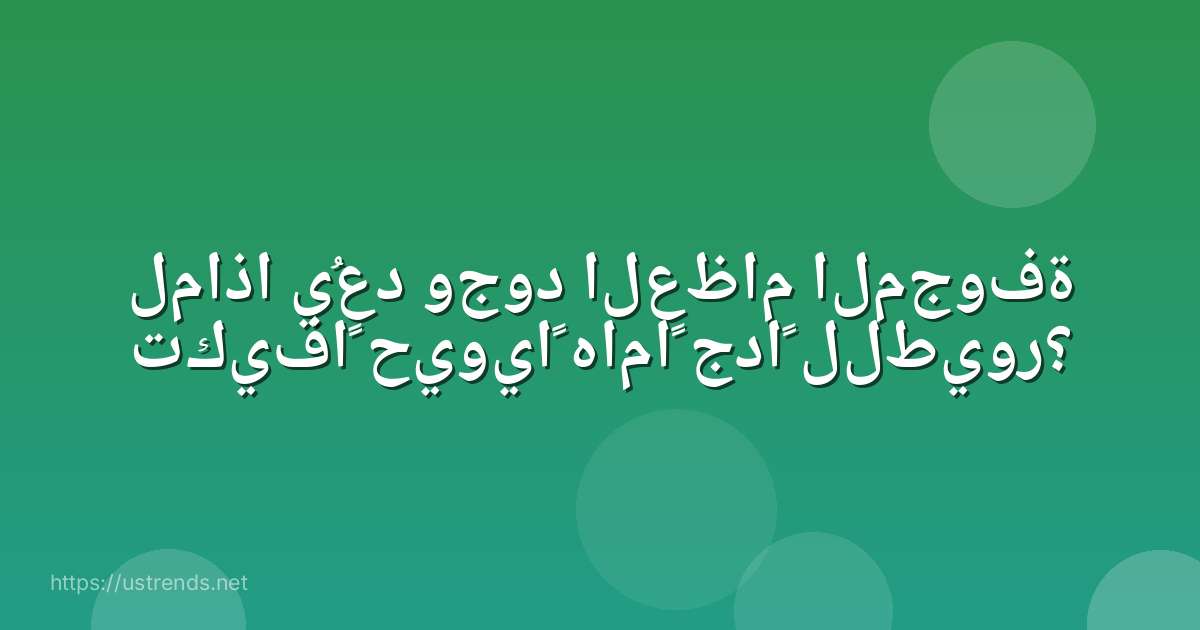 لماذا يُعد وجود العظام المجوفة تكيفاً حيوياً هاماً جداً للطيور؟
