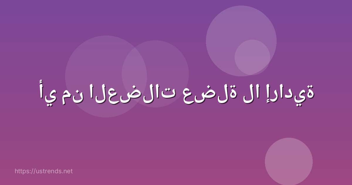 أي من العضلات عضلة لا إرادية