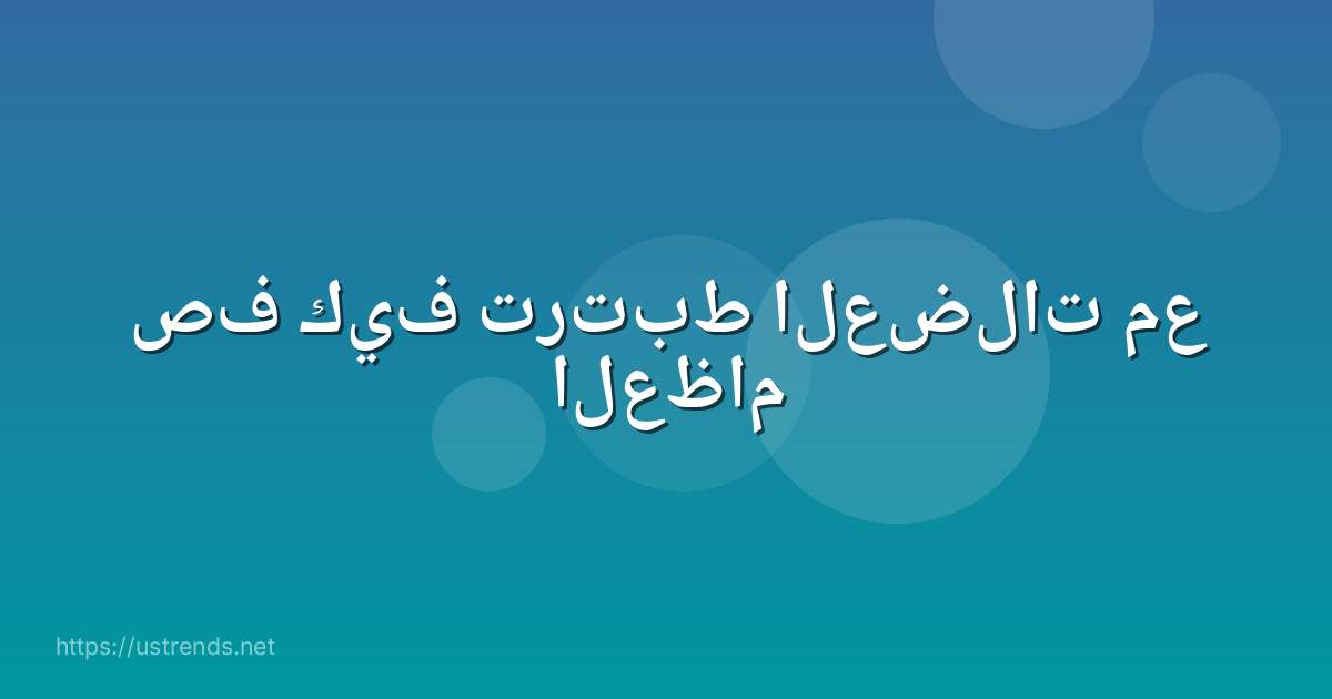 صف كيف ترتبط العضلات مع العظام