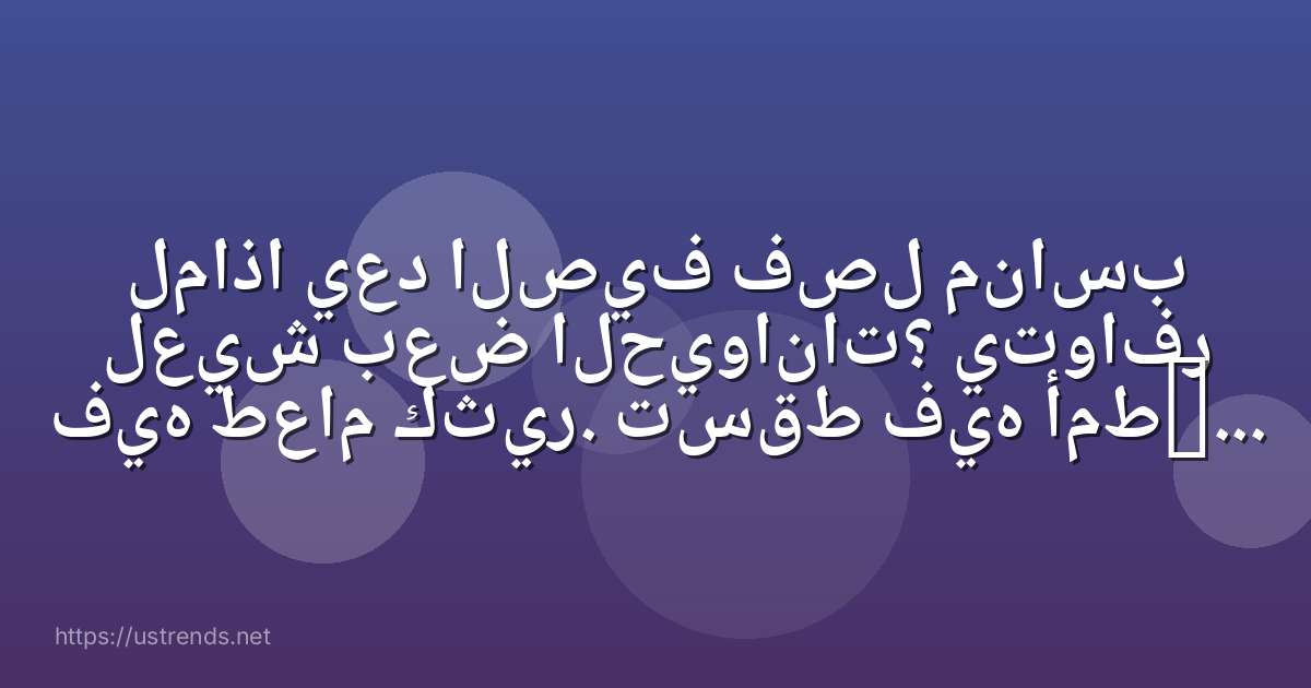 لماذا يعد الصيف فصل مناسب لعيش بعض الحيوانات؟ يتوافر فيه طعام كثير. تسقط فيه أمطار كثيرة. تتساقط فيه أوراق الأشجار.