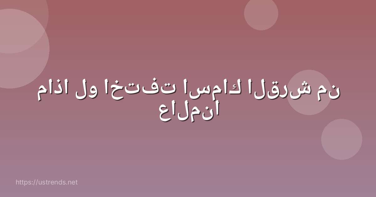 ماذا لو اختفت اسماك القرش من عالمنا