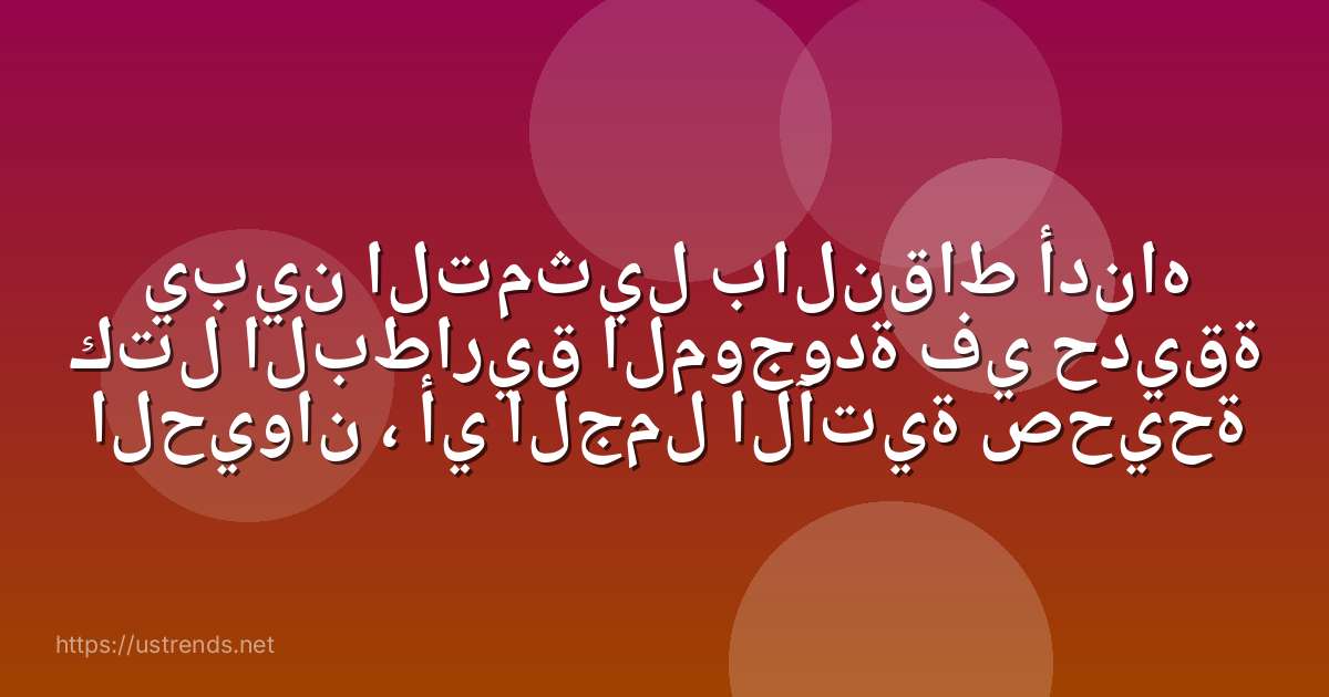 يبين التمثيل بالنقاط أدناه كتل البطاريق الموجودة في حديقة الحيوان ، أي الجمل الآتية صحيحة