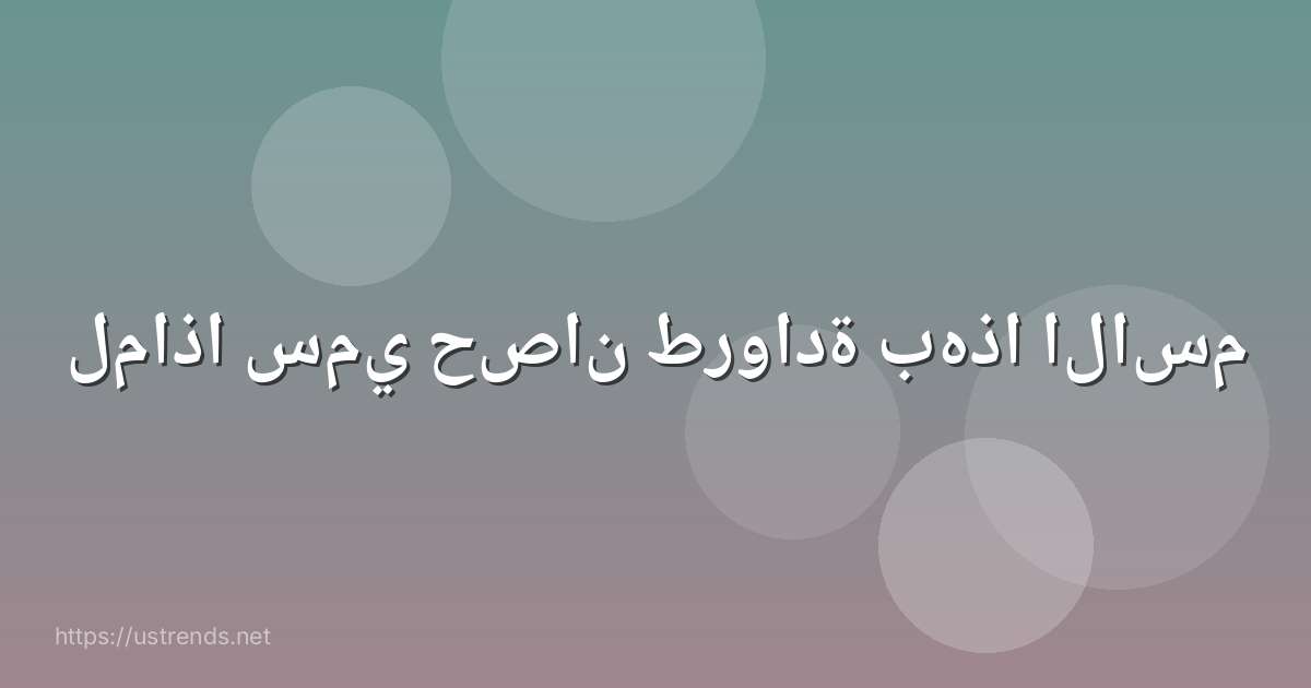 لماذا سمي حصان طروادة بهذا الاسم