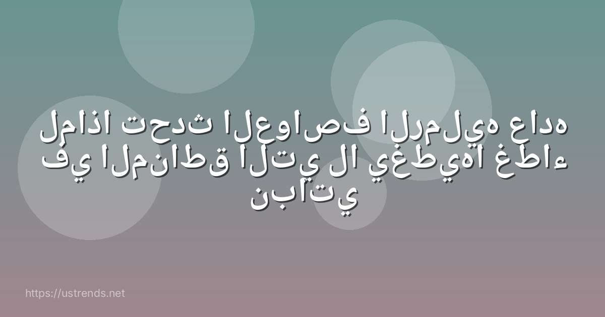لماذا تحدث العواصف الرمليه عاده في المناطق التي لا يغطيها غطاء نباتي