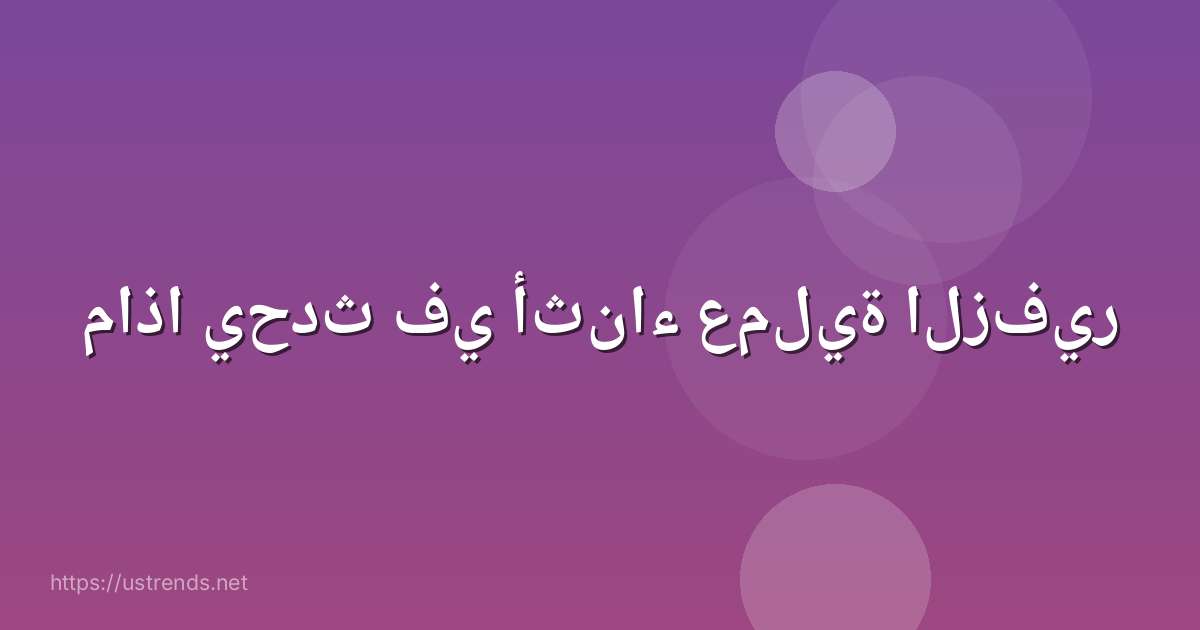 ماذا يحدث في أثناء عملية الزفير