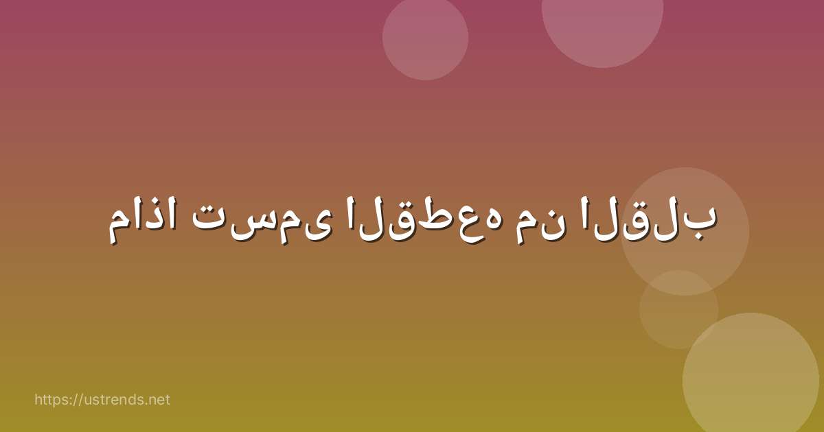 ماذا تسمى القطعه من القلب