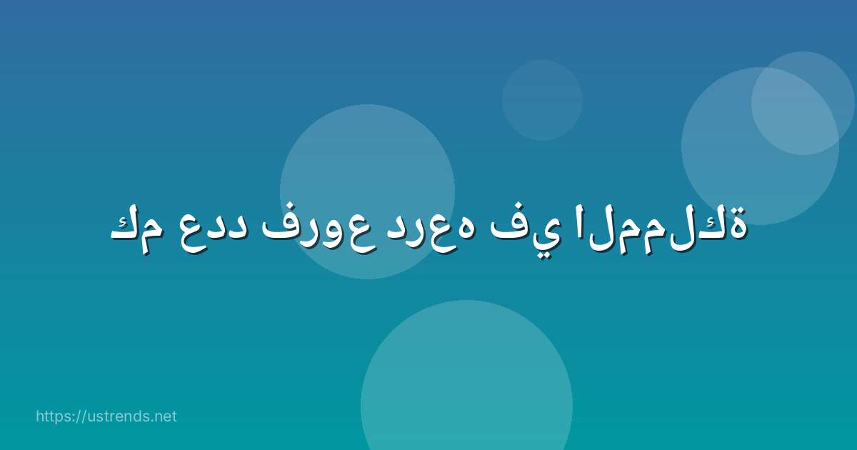 كم عدد فروع درعه في المملكة