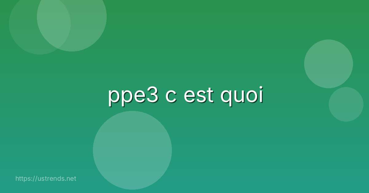 ppe3 c est quoi