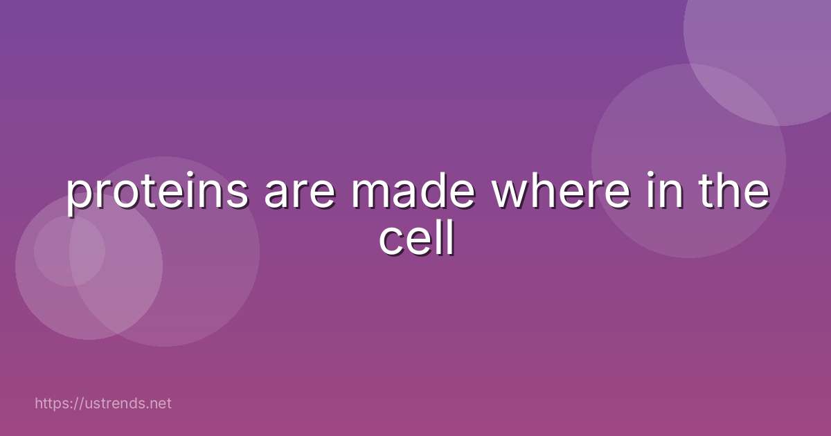 proteins are made where in the cell