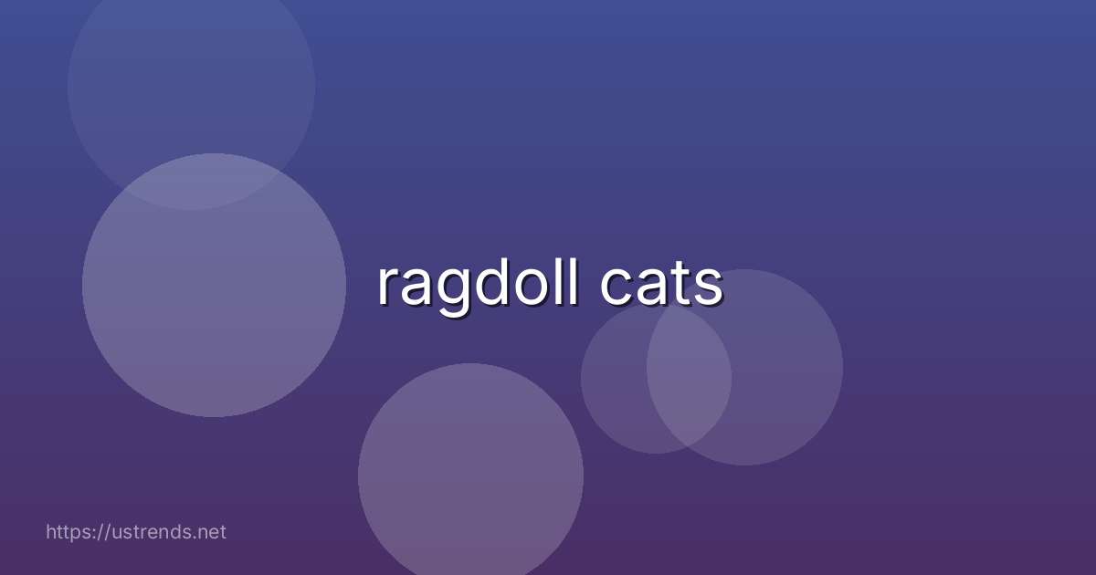 ragdoll cats