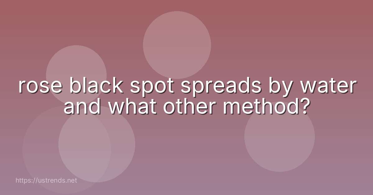 rose black spot spreads by water and what other method?
