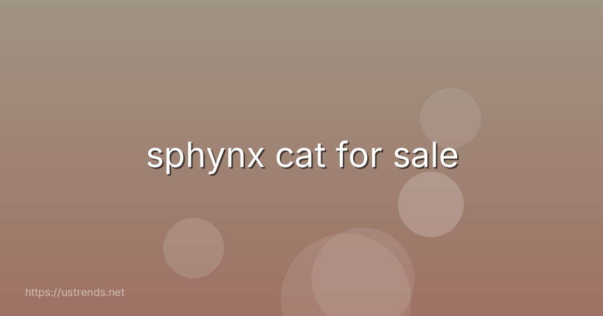 sphynx cat for sale