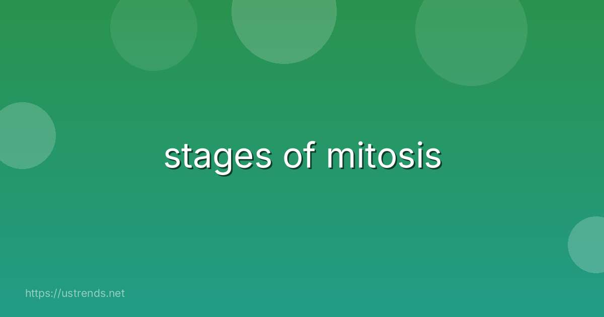 stages of mitosis