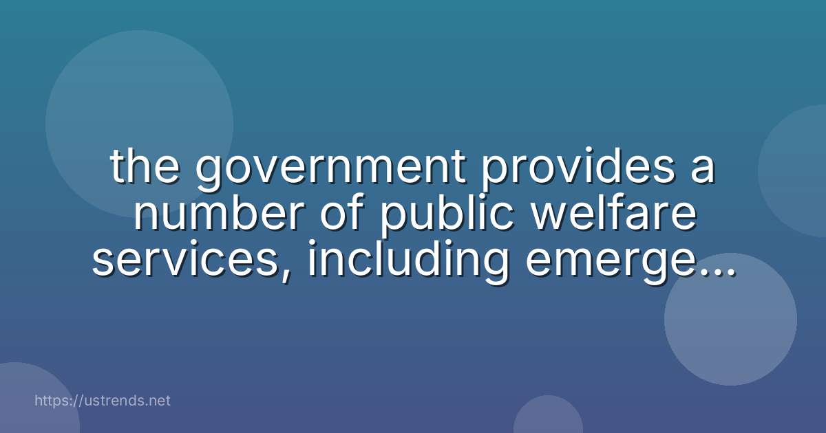 the government provides a number of public welfare services, including emergency response. public education. criminal trials. electric power.