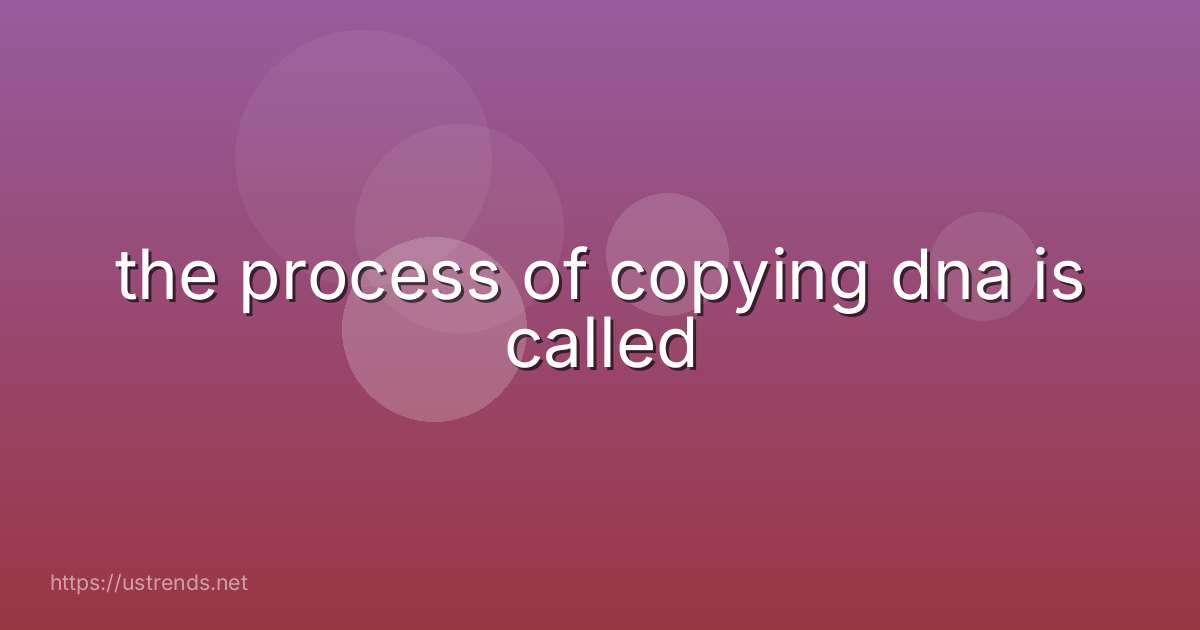 the process of copying dna is called