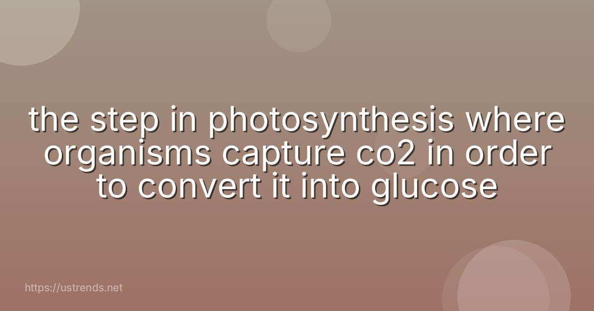 the step in photosynthesis where organisms capture co2 in order to convert it into glucose